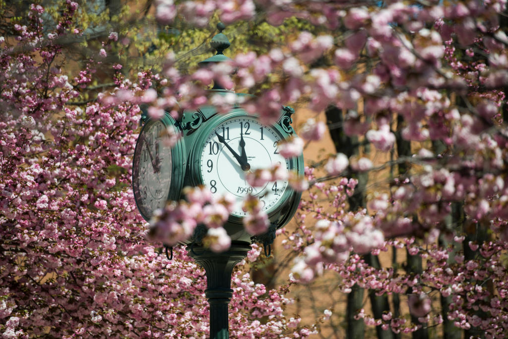 Fairfax campus in Spring